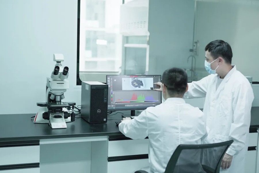 ��ʨ����ᡤ�������-����Ժ�