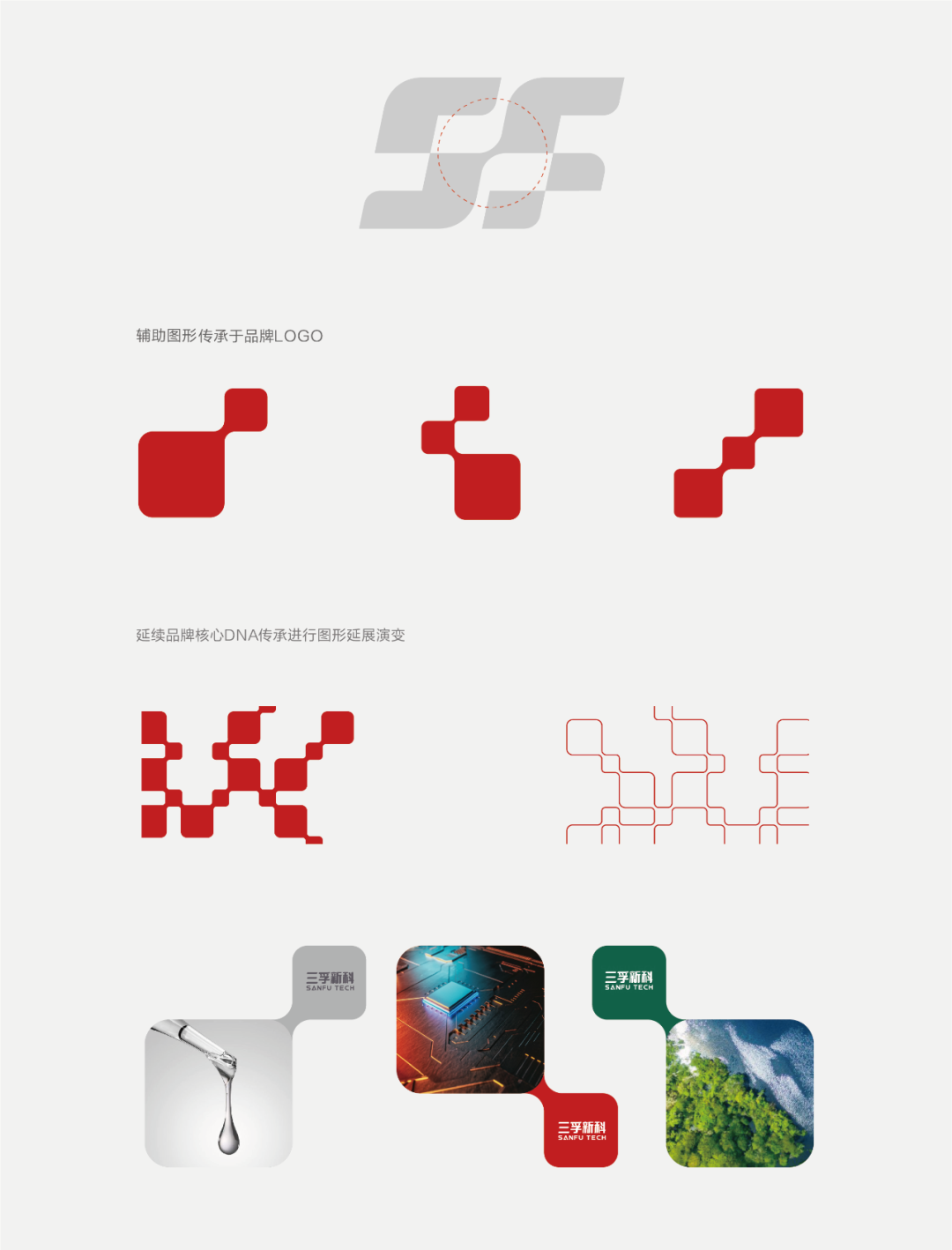 ��ʨ����ᡤ�������-����Ժ�