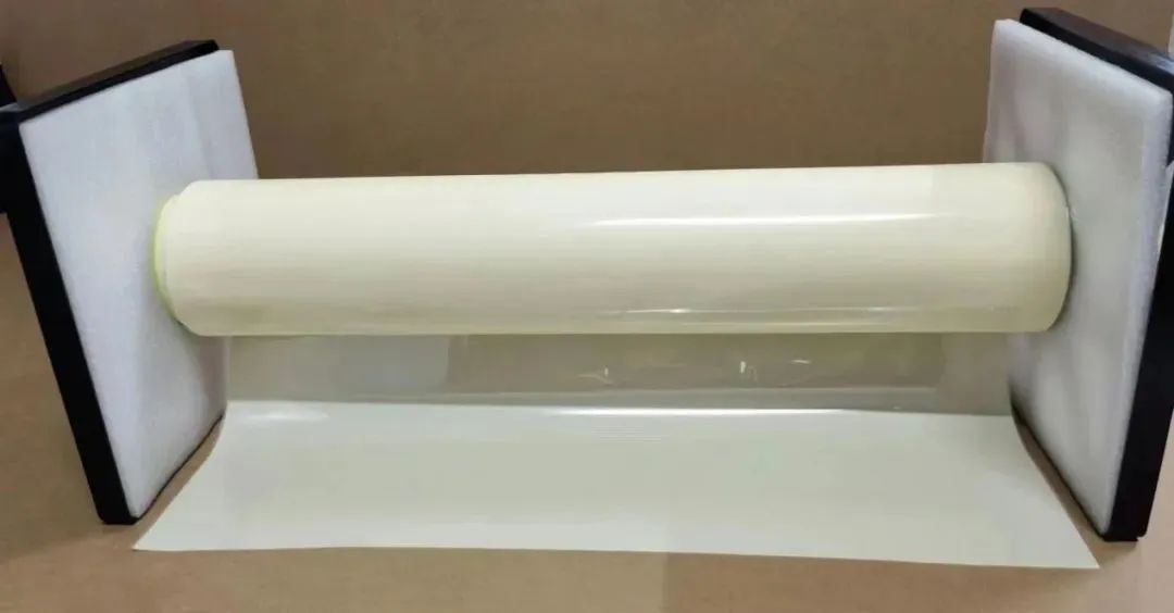 ��ʨ����ᡤ�������-����Ժ�