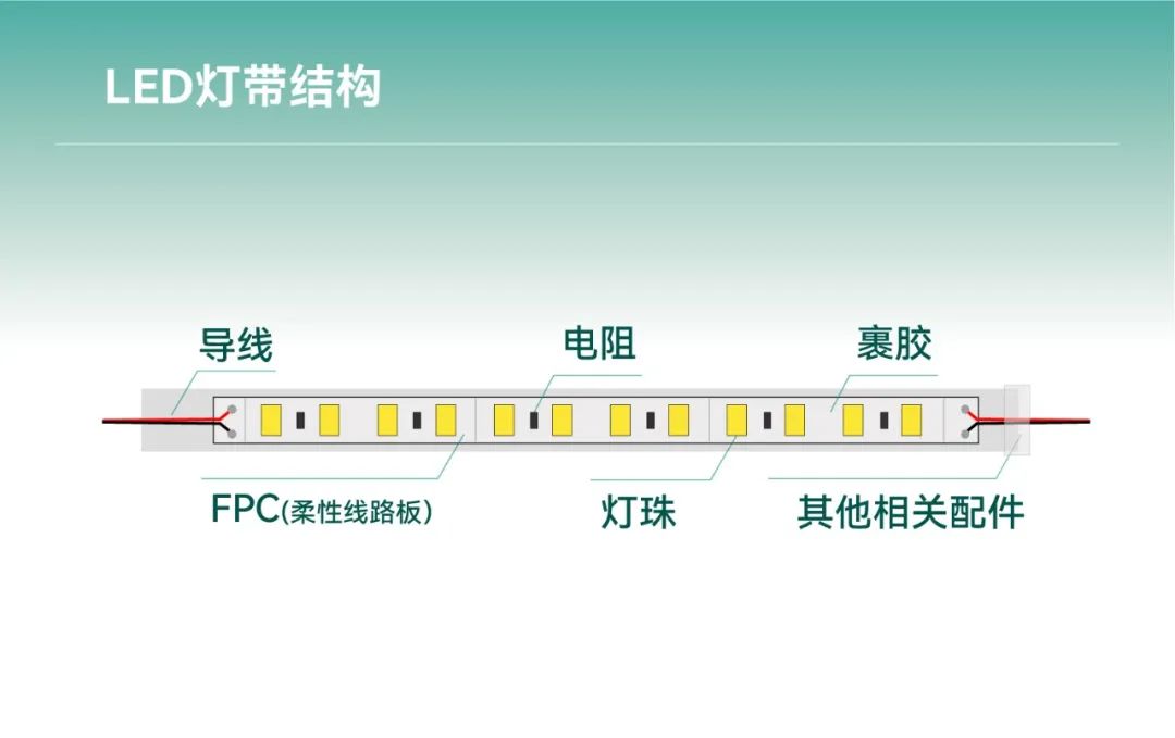 ��ʨ����ᡤ�������-����Ժ�