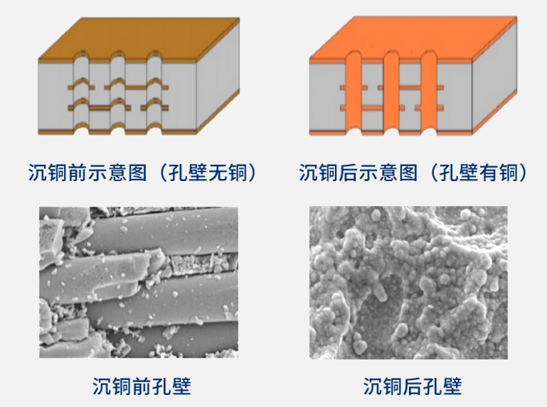 ��ʨ����ᡤ�������-����Ժ�