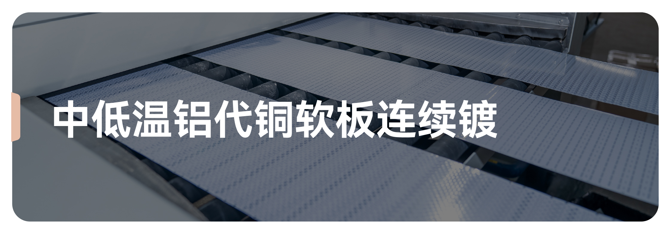 ��ʨ����ᡤ�������-����Ժ�